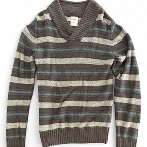 Fossil Brown and Blue V-Neck Sweater